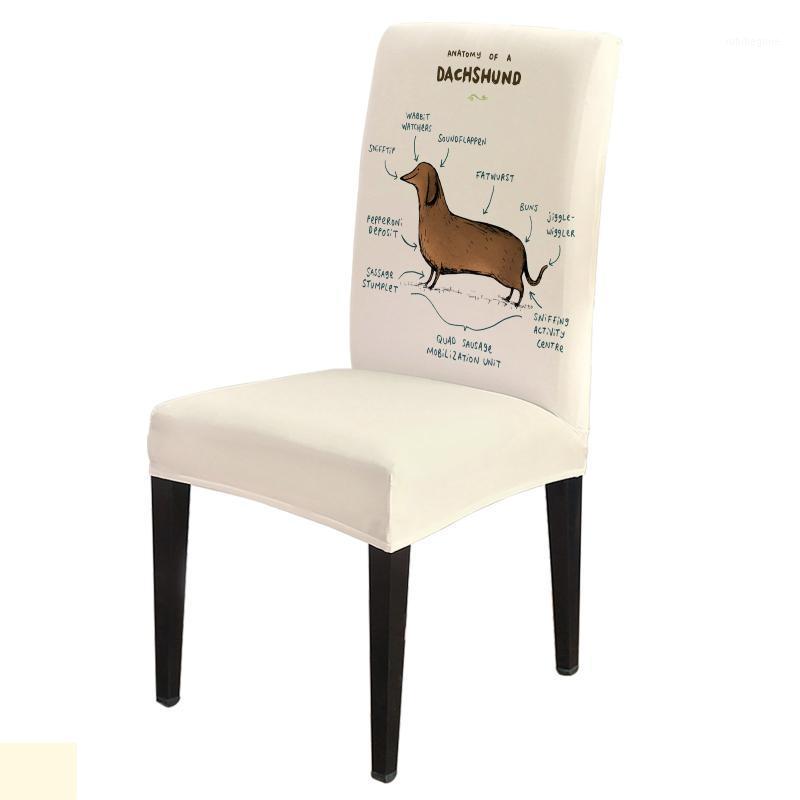 Anatomy Of A Dachshund Dog Chair Covers Wedding Party Decor Dining Spandex Elastic Printing
Anatomy Of A Dachshund Dog Chair Covers Wedding Party Decor Dining Spandex Elastic Printing
