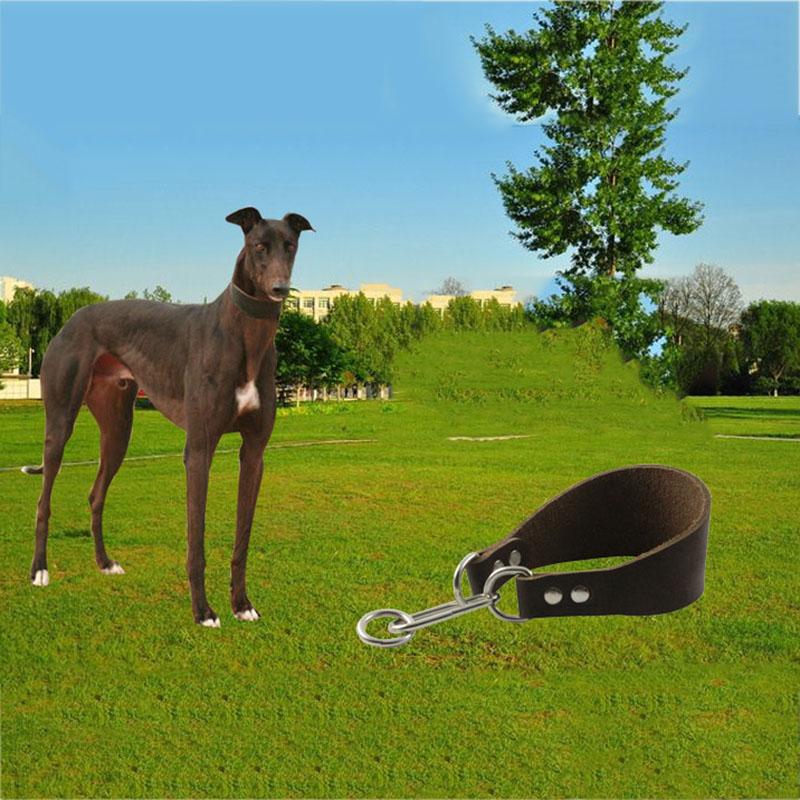 Whippet Dog Collar Leather Greyhound Collars Lurcher Saluki Soft Padded Small Medium Large Brown 30-36cm & Leashes
Whippet Dog Collar Leather Greyhound Collars Lurcher Saluki Soft Padded Small Medium Large Brown 30-36cm & Leashes