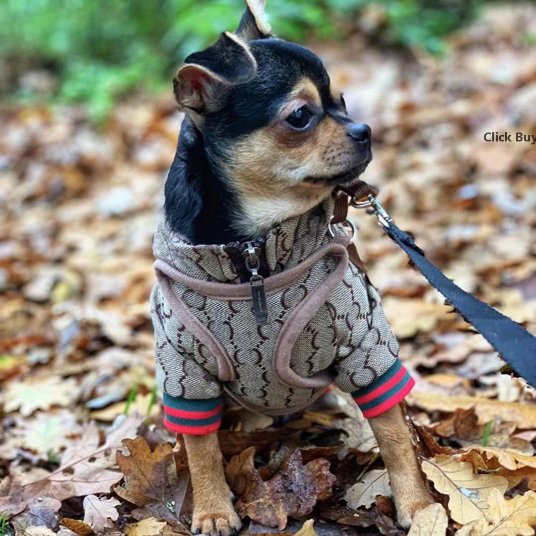 Casual Pet Jacket Classic Full Letters Print Dog Apparel Jackets Small Dogs Hoodies Clothes Pets Supplies \
Casual Pet Jacket Classic Full Letters Print Dog Apparel Jackets Small Dogs Hoodies Clothes Pets Supplies \