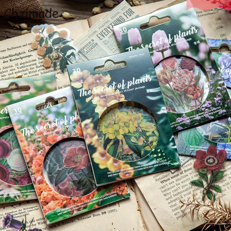 Gift Wrap Chzimade 30Pcs Flower Plants Series Stationery Adhesive PET Sticker Scrapbooking Planner Decorative Scrapbook Paper
Gift Wrap Chzimade 30Pcs Flower Plants Series Stationery Adhesive PET Sticker Scrapbooking Planner Decorative Scrapbook Paper
