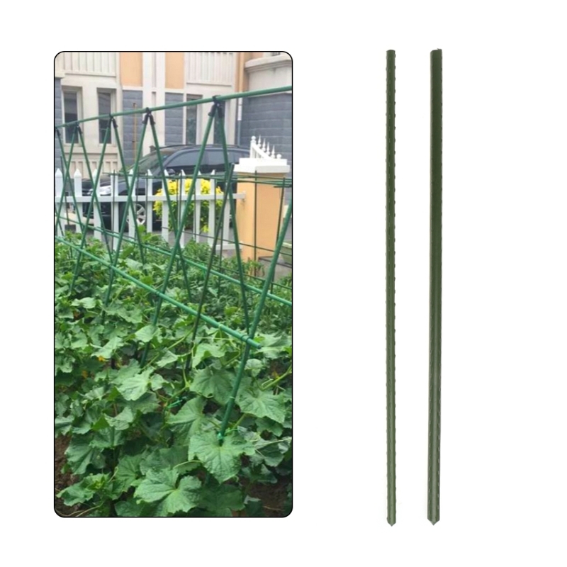 60 Cm Garden Plant Support Stakes Climbing Stand Flower Stick Cane Gardening Tool
