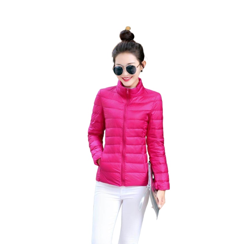 Women's Down Cotton Parka Coat Autumn Winter 2021 Slim Short Stand-Up Collar Warm Ladies Jacket, Sky blue 
Women's Down Cotton Parka Coat Autumn Winter 2021 Slim Short Stand-Up Collar Warm Ladies Jacket, Sky blue