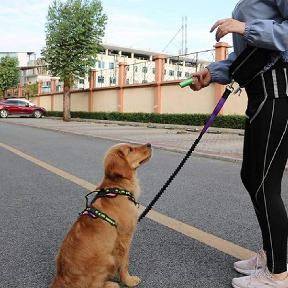 Hands-Free Dog Leash With Zipper Pouch Reflective Dogs Traction Rope Waist Bags Pet Running Leash Jogging Training Leads Rope