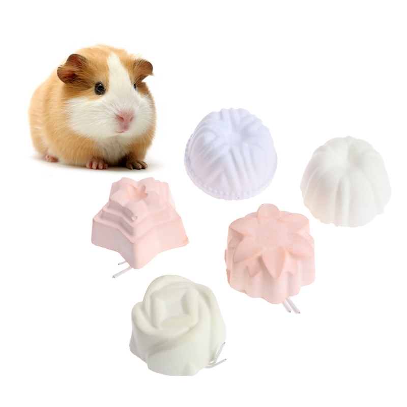 Pet Dentures Slipperstone Calcium Mineral Hamster Rabbit Rat Squirrel Coffee Toys