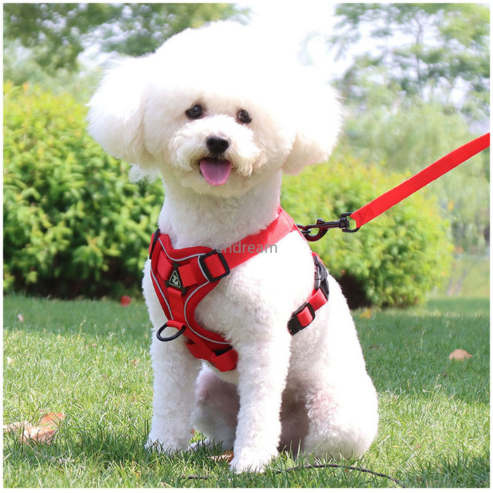 Breathable Adjustable Waistcoat Mesh High Reflect Light Harnesses Leash Set Walk Dogs Leashes Pet Supplies Red Blue Will and Sandy
Breathable Adjustable Waistcoat Mesh High Reflect Light Harnesses Leash Set Walk Dogs Leashes Pet Supplies Red Blue Will and Sandy