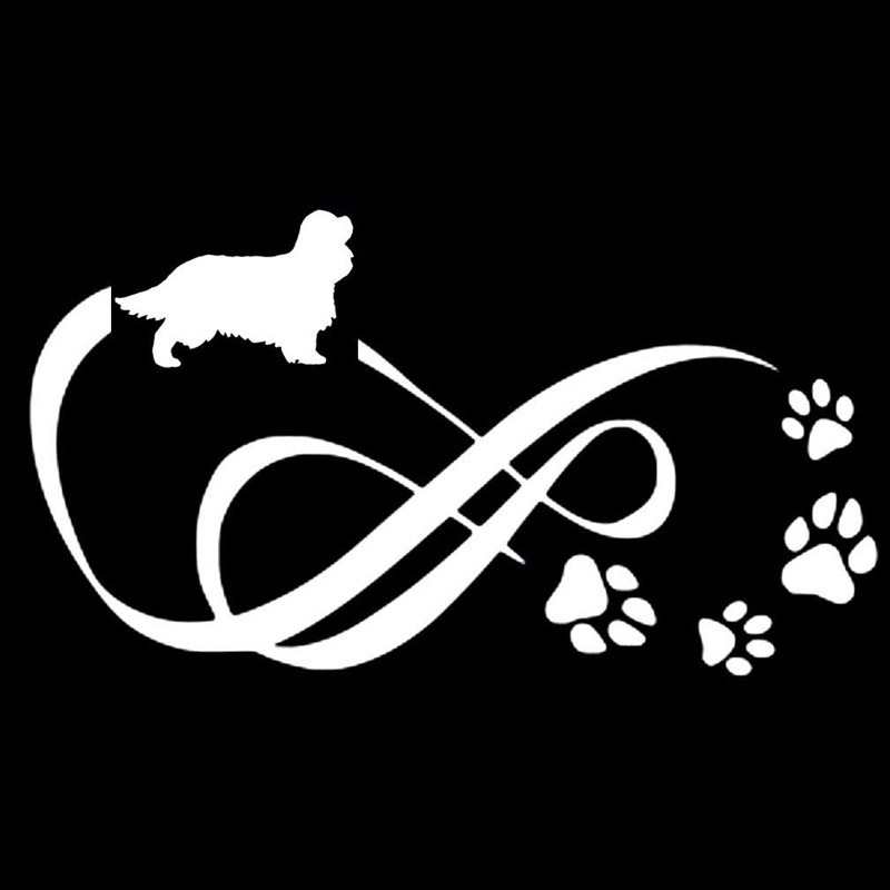 18*10CM Cavalier King Charles Spaniel Animal Paw Print Car Stickers Vinyl Decal Car Styling Decoration Black
18*10CM Cavalier King Charles Spaniel Animal Paw Print Car Stickers Vinyl Decal Car Styling Decoration Black