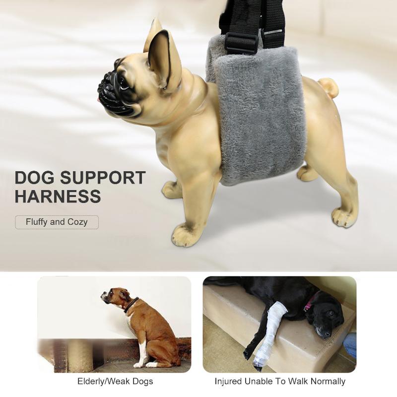 Pet Dog Support Harness For Joint Injuries Elderly Dogs Back Adjustable Buckle Coral Fleece Portable Sling Handle Help Rear Car Seat Covers
Pet Dog Support Harness For Joint Injuries Elderly Dogs Back Adjustable Buckle Coral Fleece Portable Sling Handle Help Rear Car Seat Covers