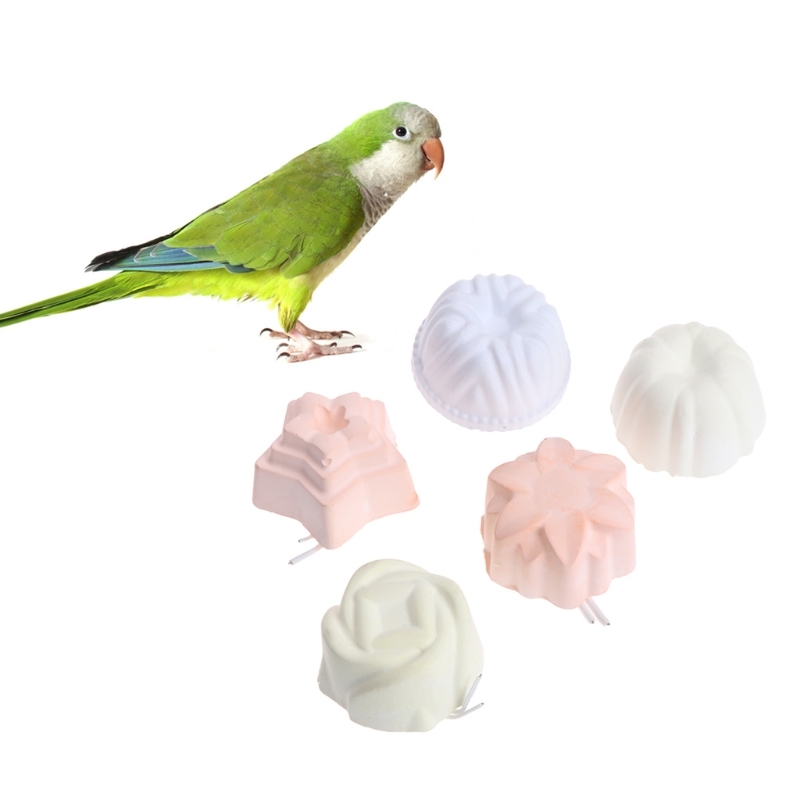 Pet Dentures Slipperstone Calcium Mineral Hamster Rabbit Rat Squirrel Coffee Toys