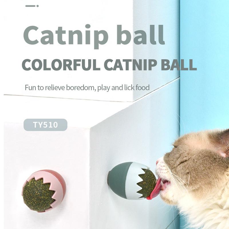Catnip Toy Funny Beneficial Pet Toys Interactive Cat Nip Ball Safety Healthy Products Clean Teeth Egg
Catnip Toy Funny Beneficial Pet Toys Interactive Cat Nip Ball Safety Healthy Products Clean Teeth Egg