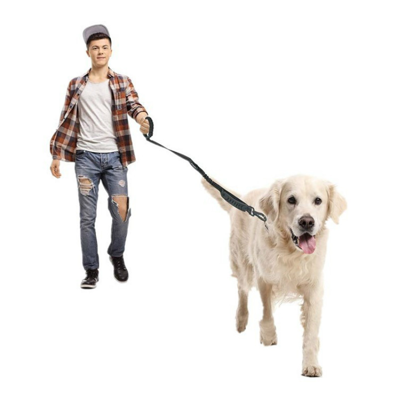 Reflective Dog Leash Traction Rope With Car Seat Safety Buckle Double Handles Puppy Dogs Walking Outdoor Car Leash Adjustable