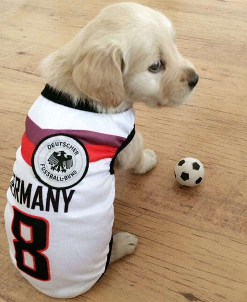 Dog Apparel Vest Basketball Jersey Cool Breathable Pet Cat Clothes Puppy Sportswear Spring Summer Fashion Cotton Shirt Lakers XS lb
Dog Apparel Vest Basketball Jersey Cool Breathable Pet Cat Clothes Puppy Sportswear Spring Summer Fashion Cotton Shirt Lakers XS lb