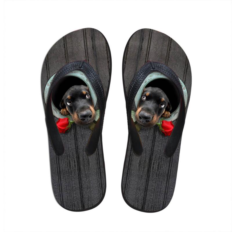 Slippers Noisydesigns Wome Flip Flops Cute Pet Dog Printed Lddies Loafers Sandals Girls Water Flat Shoes Summer Beach Lazy, Black
Slippers Noisydesigns Wome Flip Flops Cute Pet Dog Printed Lddies Loafers Sandals Girls Water Flat Shoes Summer Beach Lazy, Black