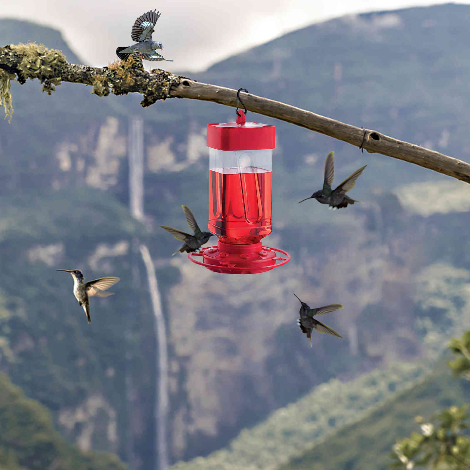 Plastic feeders hummingbird water bottle hanging hummingbird feeder garden in the open air Pet bird hook flower easyclean supplies