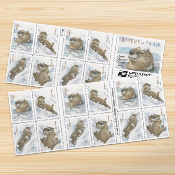 USPS forever USA Flag sticker first class Sparkling Holidays Christmas Santa Generic Love Made of Hearts Star Ribbon Purple heart medal, As the picture
USPS forever USA Flag sticker first class Sparkling Holidays Christmas Santa Generic Love Made of Hearts Star Ribbon Purple heart medal, As the picture