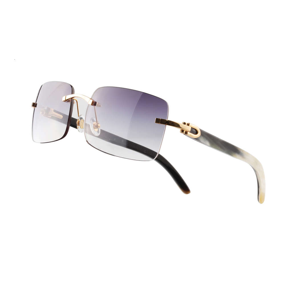Frameless Horn Glasses Square Metal Sunglasses Optical Frame Temples Natural Material Multicolor Optional Driving Beach Outdoor Men Women Sa, Black
Frameless Horn Glasses Square Metal Sunglasses Optical Frame Temples Natural Material Multicolor Optional Driving Beach Outdoor Men Women Sa, Black