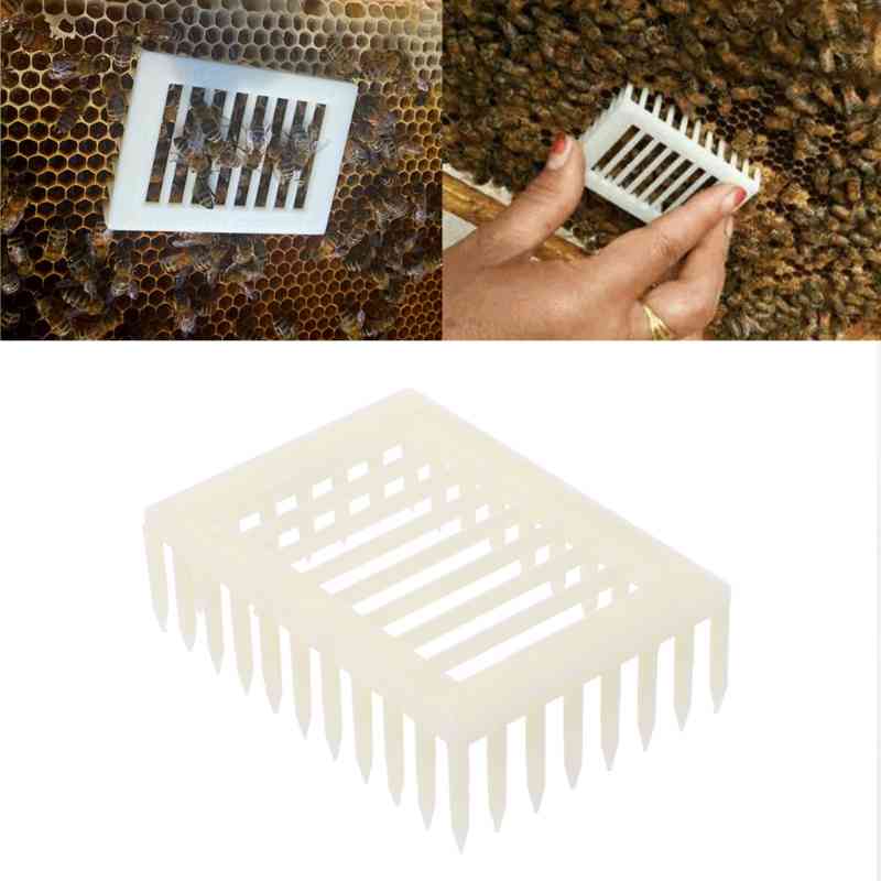 Needle Type Bee Boxes Plastic Queen Marker Kooi Clip Bee Catcher Bee Beer Tool Cutting Machine