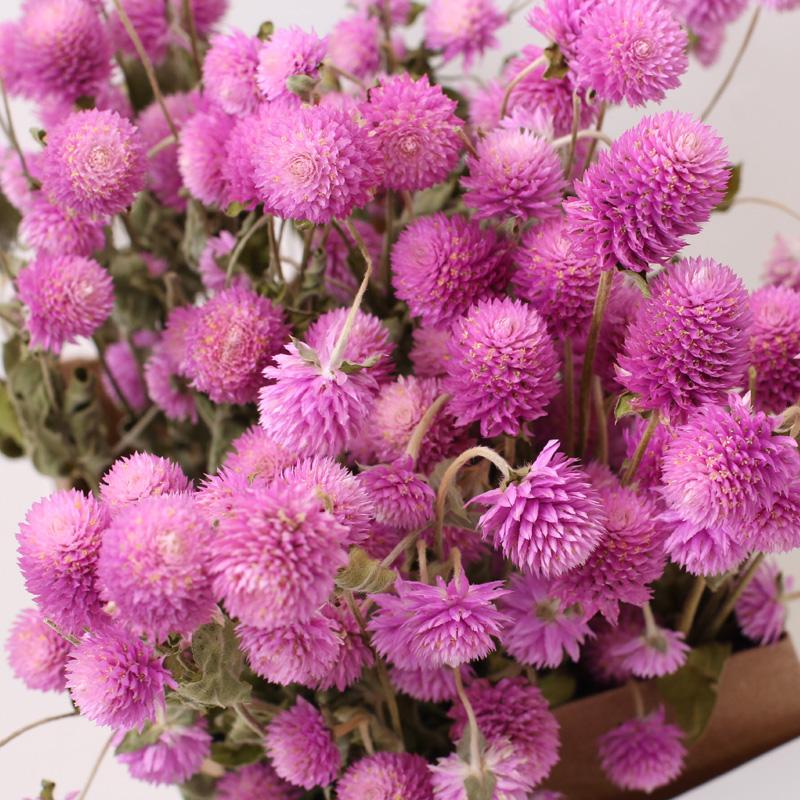 Decorative Flowers & Wreaths 45 Head Globe Amaranth Dried Flower Bouquet Rose Pink Purple Gomphrena Globosa Pressed For Home Wedding Party D