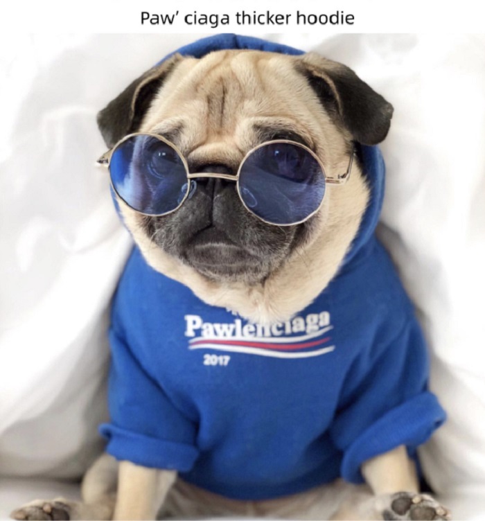 Autumn Winter Dog Apparel Two-Legged Blue Homewear Sweatshirts For And Medium Dogs Sweater Pet Sports Clothes Jacket Pets Clothing Cotton Coat Outerwear
Autumn Winter Dog Apparel Two-Legged Blue Homewear Sweatshirts For And Medium Dogs Sweater Pet Sports Clothes Jacket Pets Clothing Cotton Coat Outerwear