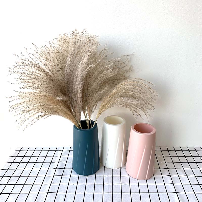 20pcs natura reeds wedding decoration home decoration fower artificia dry rose fowers vaentines day gift Babysbreath
20pcs natura reeds wedding decoration home decoration fower artificia dry rose fowers vaentines day gift Babysbreath
