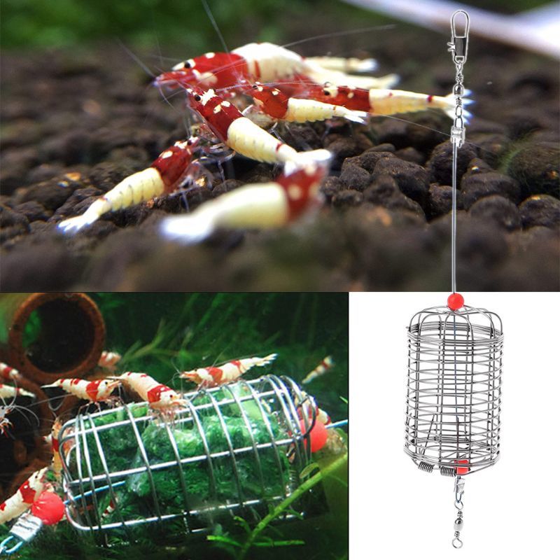 Fish Lokken Aas Kooi Feeder Garnalen Aquarium Garnalen Small Aas Feeder Kooi Droog Spinach Feed Man For Fish Driving Food