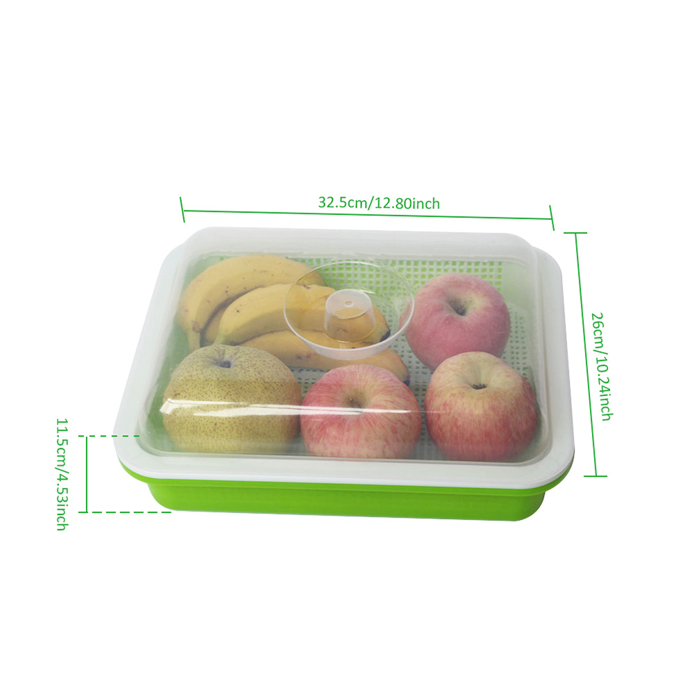 Insulation Tray Double Layer Encryption Seedling Tray Culture Beans Hydropinics Spourting Nursery Tray With Cover Storage Box