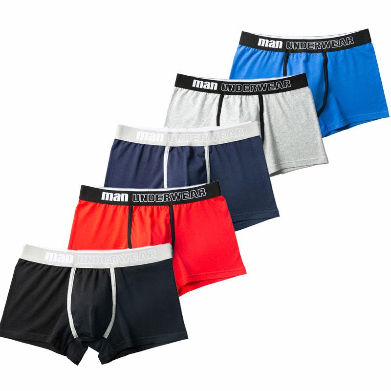 Underpants 5Pcs Mens Panties Cotton Breathable Solid Color Man Boxers Male Underpant Shigh Quality Fashion Shorts Underwear, 610-5huise
Underpants 5Pcs Mens Panties Cotton Breathable Solid Color Man Boxers Male Underpant Shigh Quality Fashion Shorts Underwear, 610-5huise