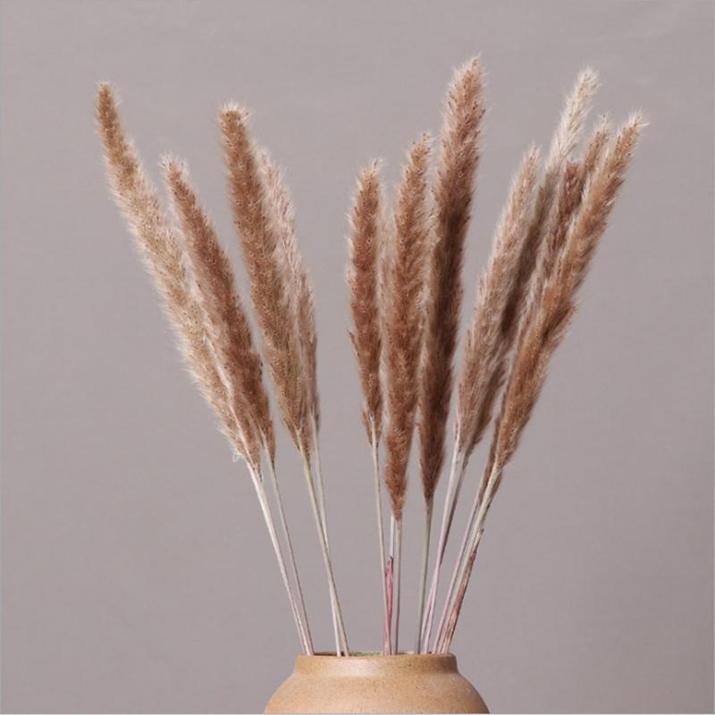 30pc Set Natural Phragmites&reed Flowers&bulrush Bouquet Big Dried Pampas Grass Wedding Decoration Home Fall Decor
30pc Set Natural Phragmites&reed Flowers&bulrush Bouquet Big Dried Pampas Grass Wedding Decoration Home Fall Decor