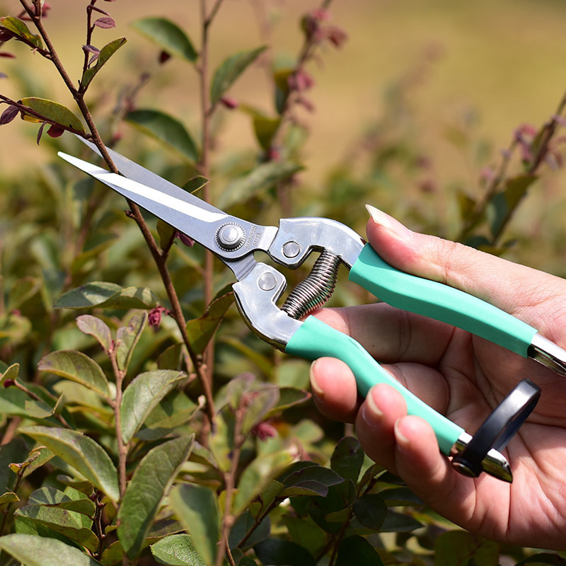 Professional 2sizes Fashion Plant Garden Gardening Tool Pruning Shears Bent Portable Fruit Picking Scissors Small Scissor