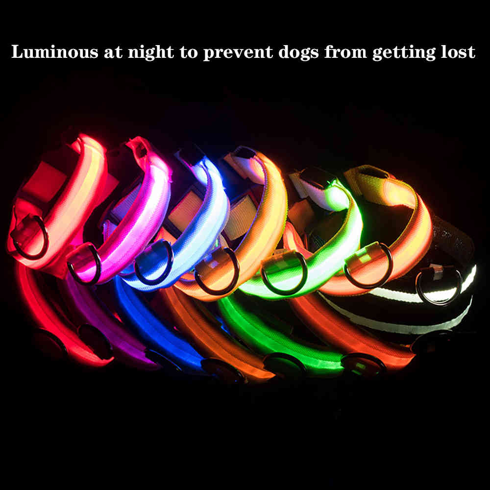 LED Dog Collar With USB Charging Anti-Lost Colorful Lights Collars For Puppy Kitten Dogs Collars Leads LED Supplies Pet Products