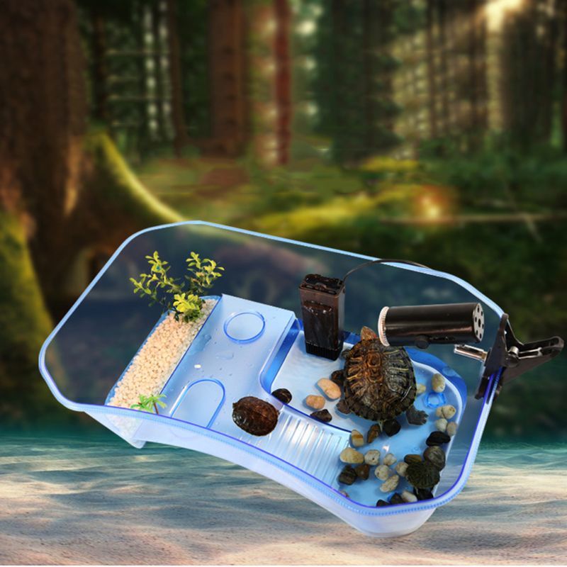 Reptile Vivarium Box Shield Path With Coasts Ramp Tank Breeding Food Tool