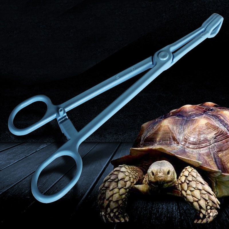 Reptile Terrarium Hagedissen Plastic Tang Pincet Household Raising Feeding Tool Clip T8WB