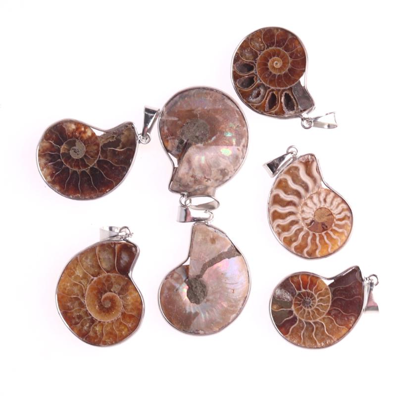 Pendant Necklaces 6pcs Wholesales Natural Conch Pendants For Jewelry Making Necklace Sweater Chain Chakra Energy Amulet Pendulum
Pendant Necklaces 6pcs Wholesales Natural Conch Pendants For Jewelry Making Necklace Sweater Chain Chakra Energy Amulet Pendulum