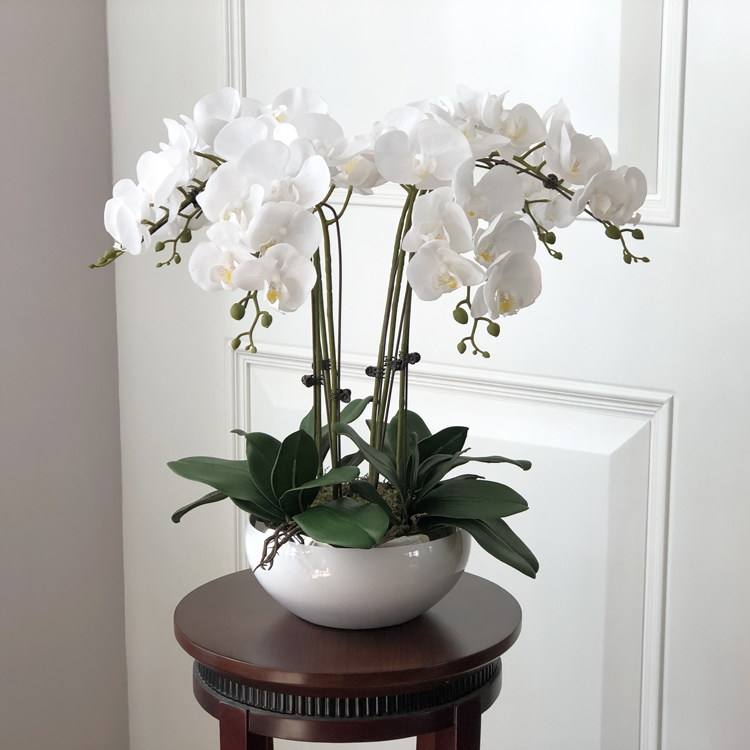1 Set High Grade Orchids Arrangement atex Siicon Rea Touch Big Size uxury Tabe Fower Home Hote Decor No Vase, 1vase
1 Set High Grade Orchids Arrangement atex Siicon Rea Touch Big Size uxury Tabe Fower Home Hote Decor No Vase, 1vase