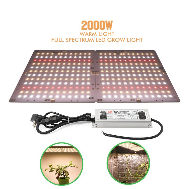 Grow Light Led Panel Full Spectrum Plants Growing Lamp Quantum Tech Board With Meanwell Driver Phyto Lamps Lights
Grow Light Led Panel Full Spectrum Plants Growing Lamp Quantum Tech Board With Meanwell Driver Phyto Lamps Lights