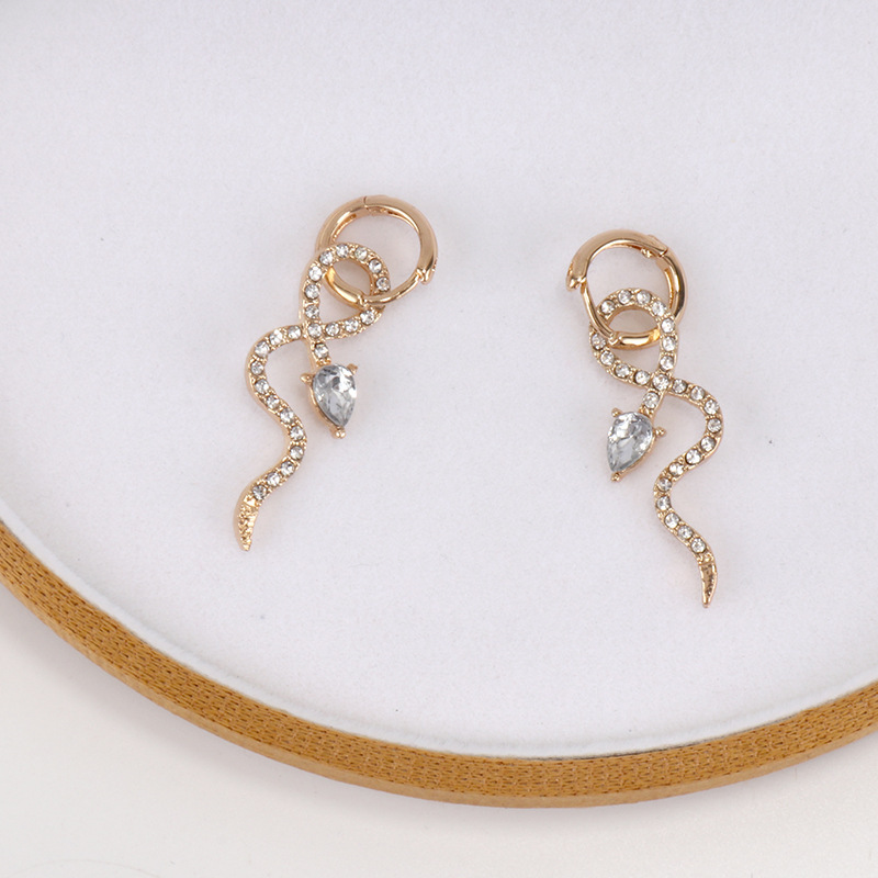 Korean version of personality net red temperament Hoop earrings 2021 new trendy snake jewelry female Women Earring