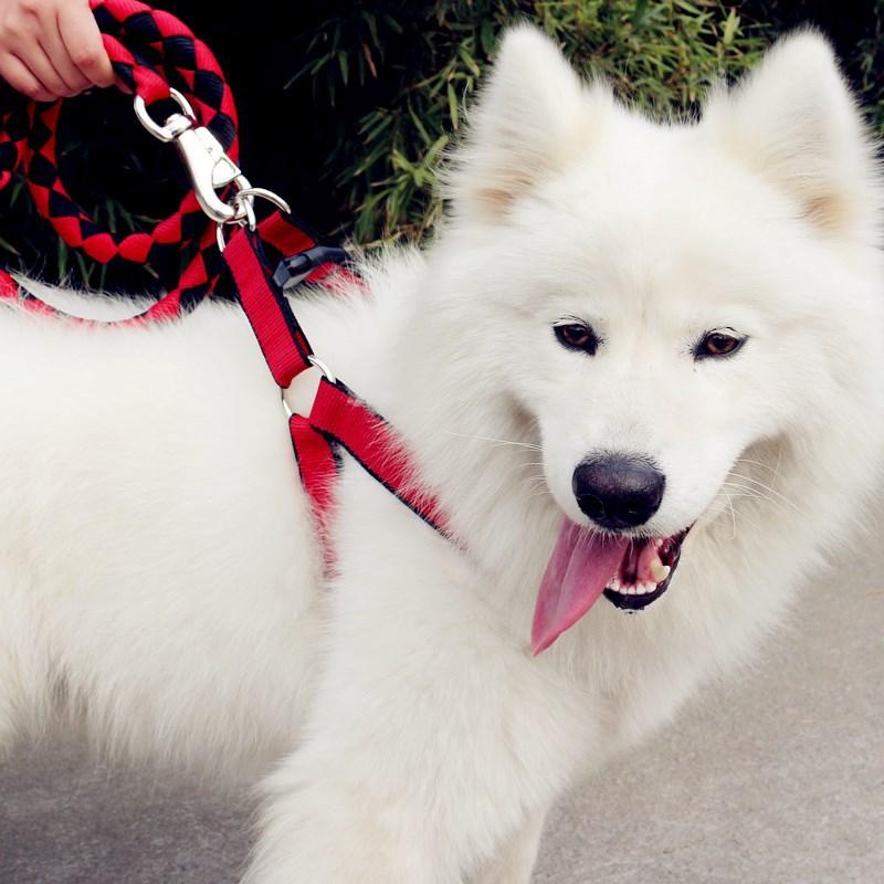 Dog Collars Harnesses Knitting Leads Leash Chest Strap Neck Snare Pet Products Supplies Para Perro Seat Belts Wholesale & Leashes
Dog Collars Harnesses Knitting Leads Leash Chest Strap Neck Snare Pet Products Supplies Para Perro Seat Belts Wholesale & Leashes