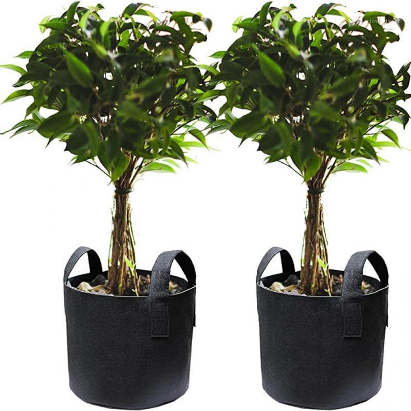 Planters & Pots 3Pcs 3/5/7 Gallon Grow Bag Gardening Fabric Pot Vegetable Growing Planter Eco-Friendly Flower Planting Garden Tools
Planters & Pots 3Pcs 3/5/7 Gallon Grow Bag Gardening Fabric Pot Vegetable Growing Planter Eco-Friendly Flower Planting Garden Tools