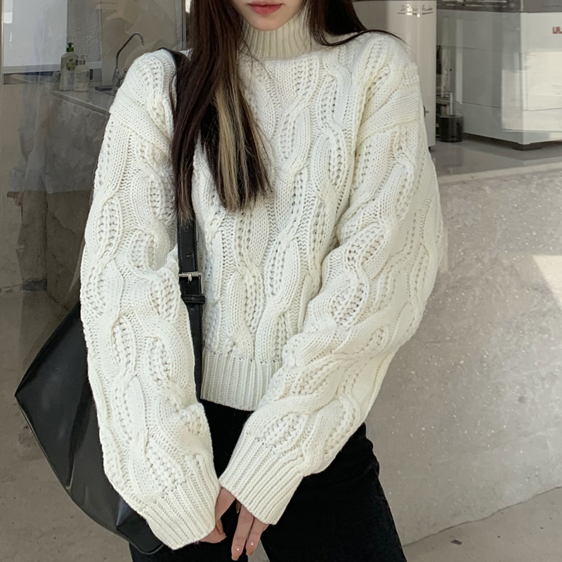 2 Colors 2021 Autumn Winter korean style Thick warm knitted sweaters womens half Turtleneck sweater and pullovers (C9910), White;black
2 Colors 2021 Autumn Winter korean style Thick warm knitted sweaters womens half Turtleneck sweater and pullovers (C9910), White;black