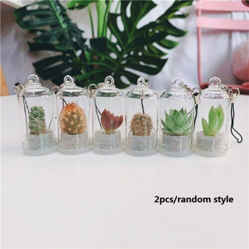 2PCs Random Mini Succulent Cactus Plant Keyring Charm Green Fleshy Plant Pendant Keychain with Glass Cover Craft Gifts for Women