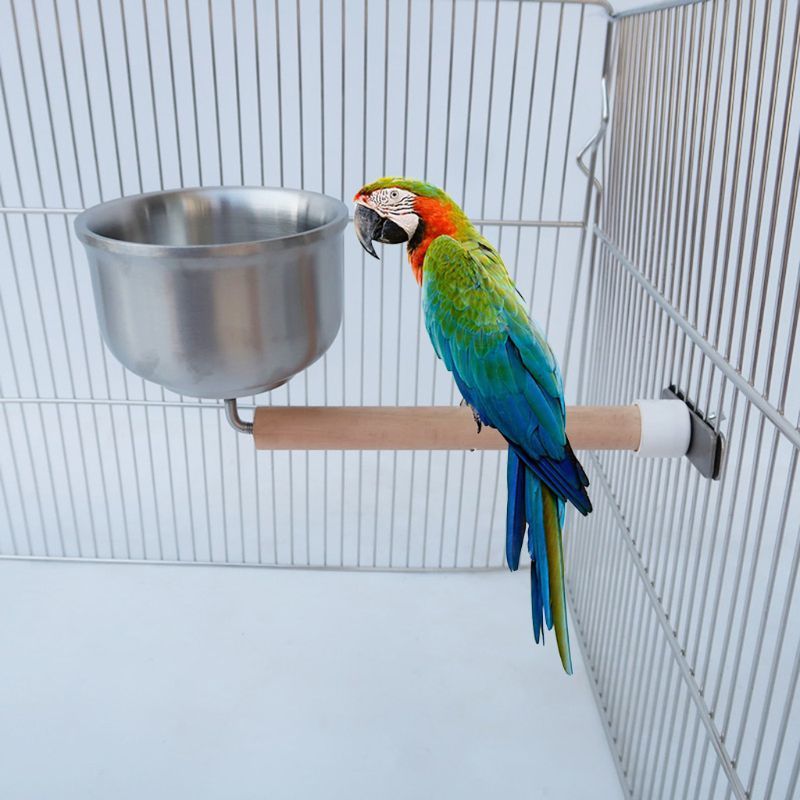 Bird Feed Cups Parrots Bars Rustless Steel Food Come Water dish with clamp