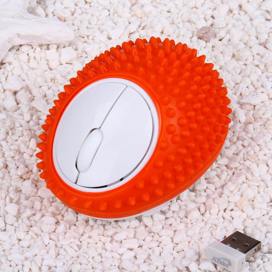 Hedgehog Massage Wi… - image