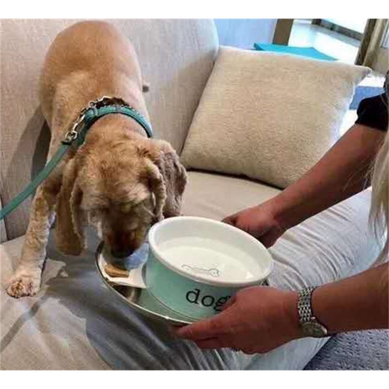 Blue ceramic pet drinking water basin dog food pot cat bowl gift 210320