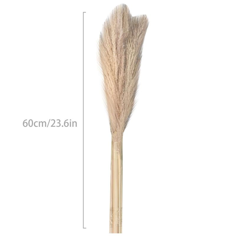 100pcs Wedding Flowers Pampas Grass Large Size Fluffy For Home Christmas Decor Natural Plants White Dried Flower Decorative & Wreaths