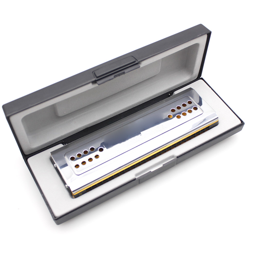 Swan harmonica 2 in 1, harmonica, C & G hard key, 24 double hole, tongue harmonica, musical instrument Harmonica Wholesale
Swan harmonica 2 in 1, harmonica, C & G hard key, 24 double hole, tongue harmonica, musical instrument Harmonica Wholesale
