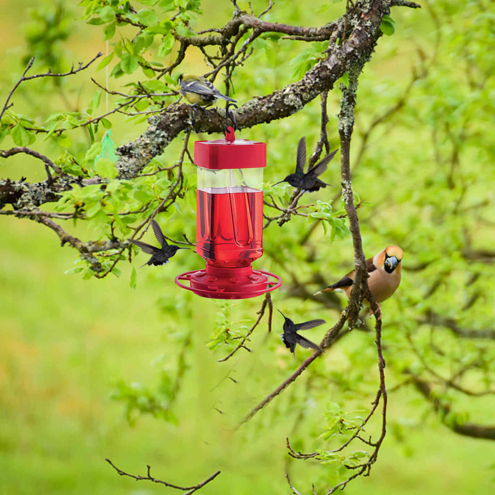 Plastic feeders hummingbird water bottle hanging hummingbird feeder garden in the open air Pet bird hook flower easyclean supplies