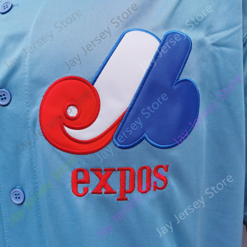 Montreal Expos Jersey Vladimir Guerrero Vintage 2000 Blue Red Mesh White Pullover Button Pinstripe Grey Hall Of Fame Patch