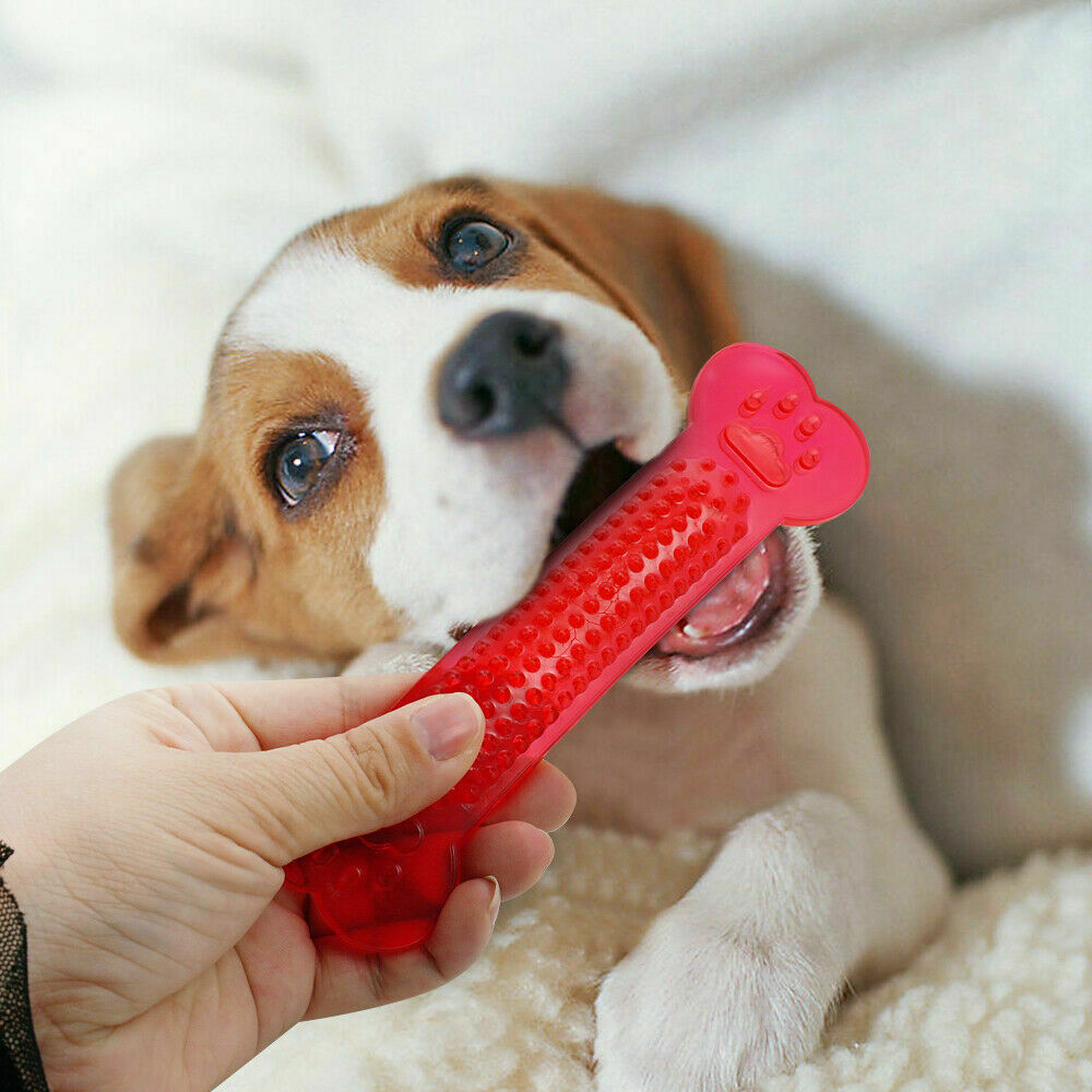Dog Chew Toys Rubber Toy Bone Aggressive House Toothbrush Doggie Puppy Teeth Care for Pet Accessories