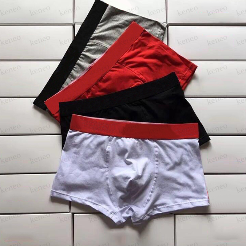 Men Shorts Underpants Man Mature Panties Boy Underwear for Male Sexy Large Size Summer High Quality Fashion Letter Print Everyday Pants, Contact customer service
Men Shorts Underpants Man Mature Panties Boy Underwear for Male Sexy Large Size Summer High Quality Fashion Letter Print Everyday Pants, Contact customer service
