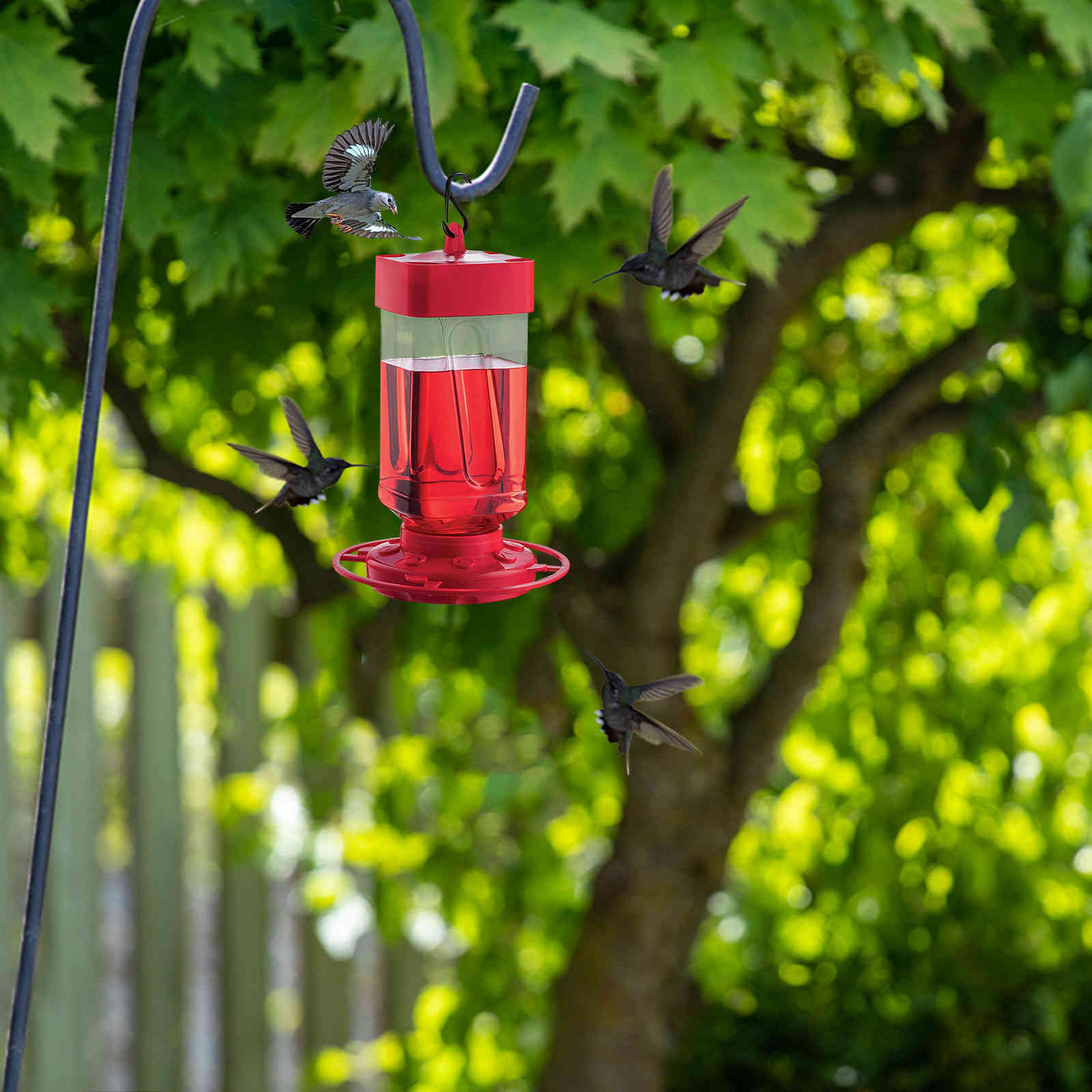 Plastic feeders hummingbird water bottle hanging hummingbird feeder garden in the open air Pet bird hook flower easyclean supplies