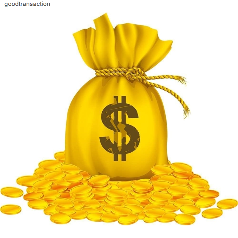 other item special link to pay fees extra fees